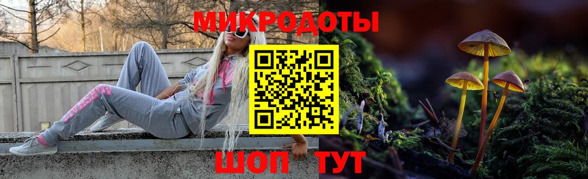 Галлюциногенные грибы Psilocybine cubensis Ртищево