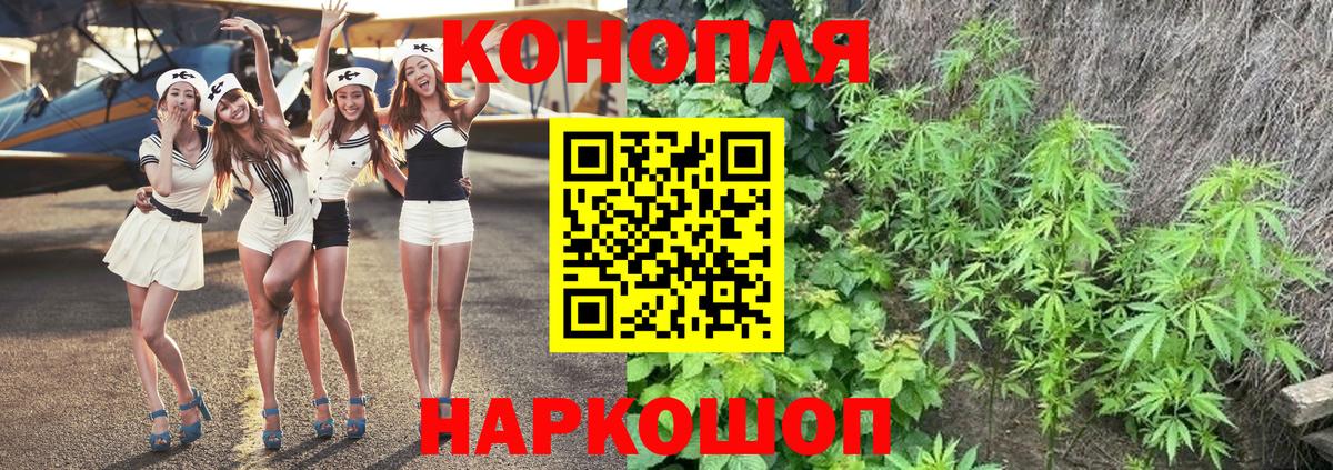 Бошки марихуана Bruce Banner  Вход с VPN  Ртищево  Марихуана планчик  Марихуана индика 